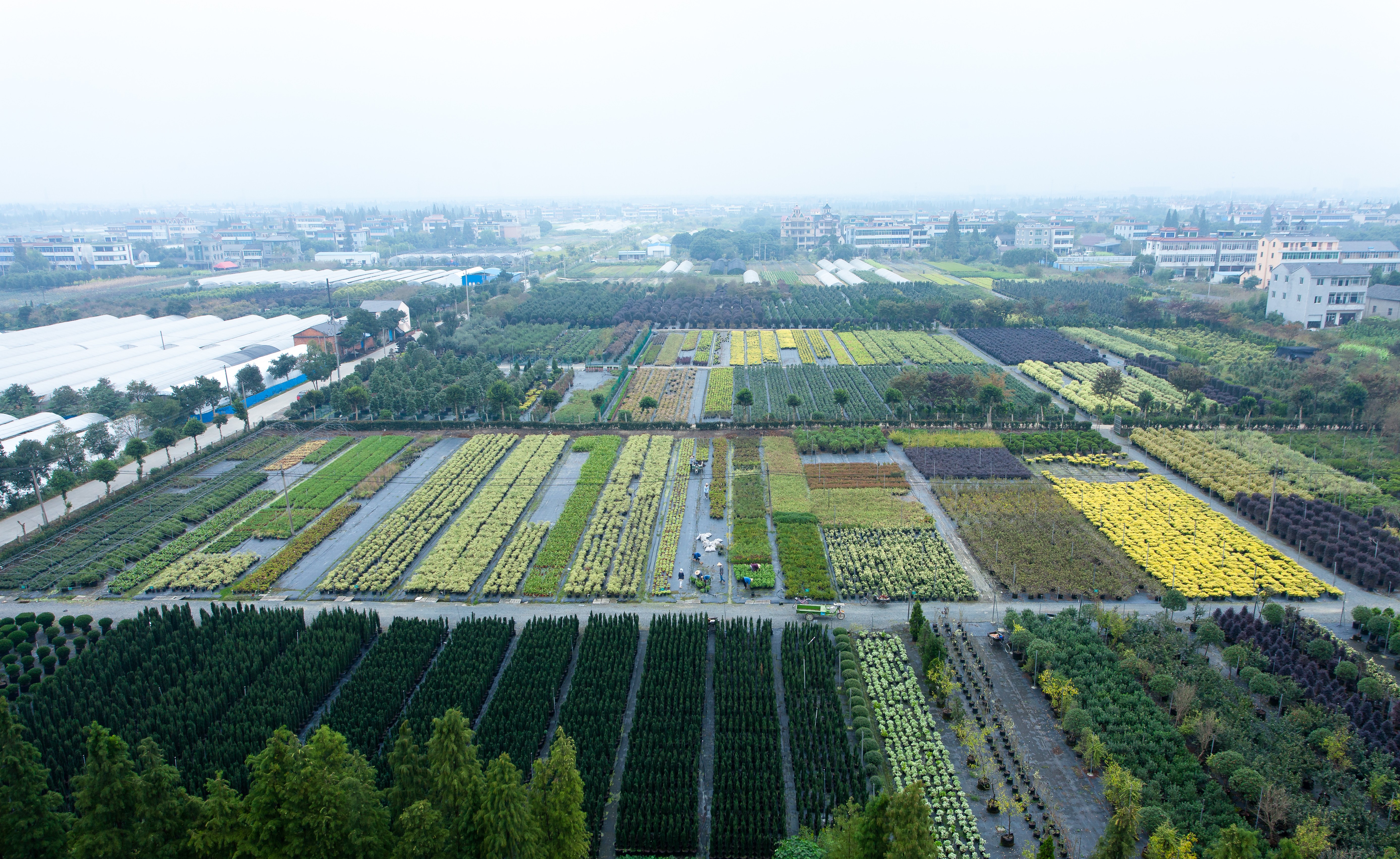 你好呀，2024虹越年度新利官方网站_新利（中国）股份有限公司